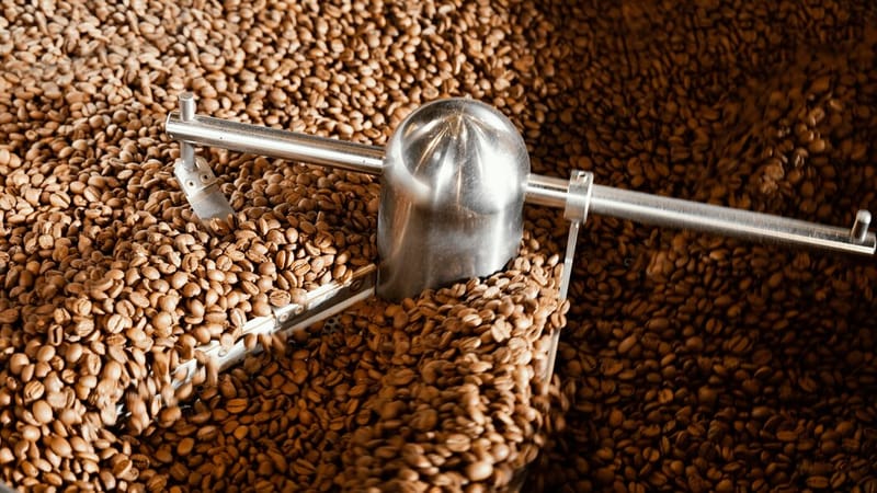 How To Choose The Best Coffee Beans In Brisbane For Your Taste - Blog's Runner