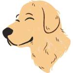 Best Food For Golden Retriever Profile Picture