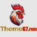 thomo67run Profile Picture