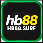 HB88 surf Profile Picture