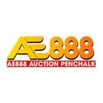 AE888 Profile Picture