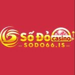 Sodo66 Profile Picture