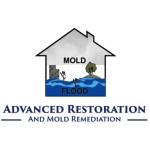 Advances Restoration And Mold