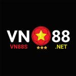 VN 88 profile picture