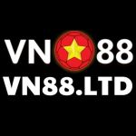 VN 88 Profile Picture