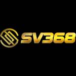 SV368vn co Profile Picture