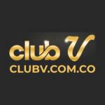 CLUB V Profile Picture