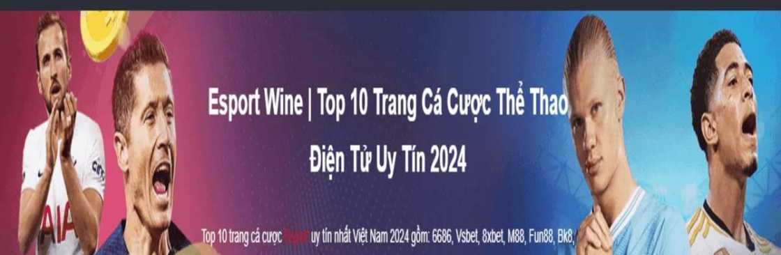 Esport Wine Top 10 Trang Cá Cược Thể Thao Đi Cover Image