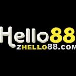 zhello88com