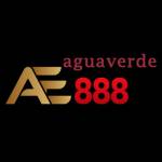 AE888 Aguaverde Profile Picture