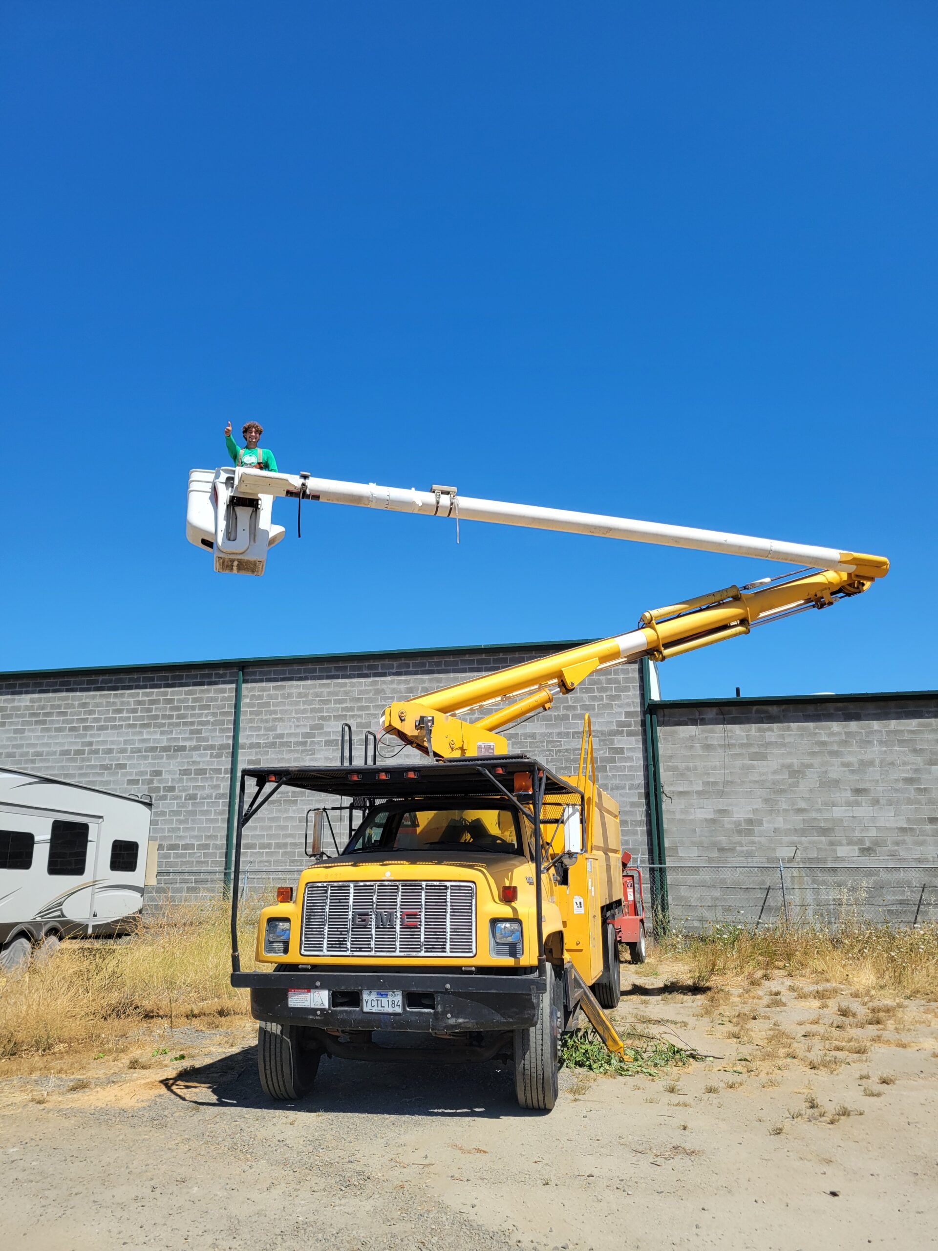 Stump Grinding Services in Medford, Oregon | Salamander LLC