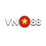 VN 88 Profile Picture