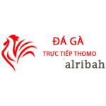 Đá Gà Trực Tiếp Thomo Hôm Nay