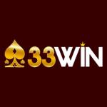 33winv co Profile Picture