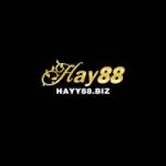 HAY88 BIZ