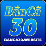 Banca30 website Profile Picture