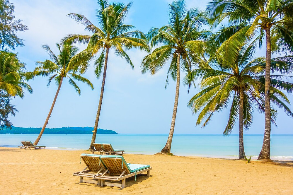 What are the Best Beaches to Visit on a Goa Trip?