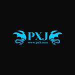 PXJ objectifphotos Profile Picture