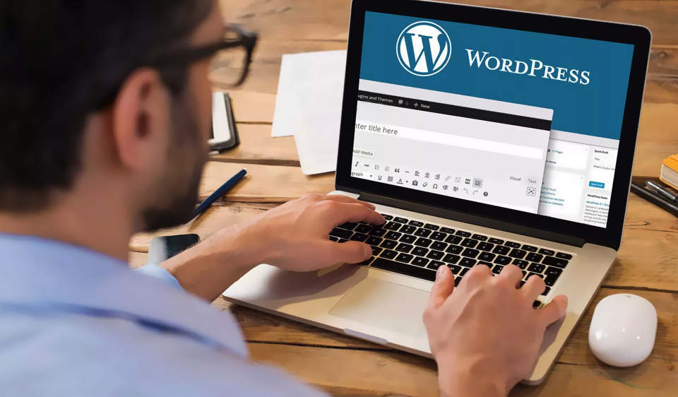 Wordpress Development Company in Dubai - Digisparsh