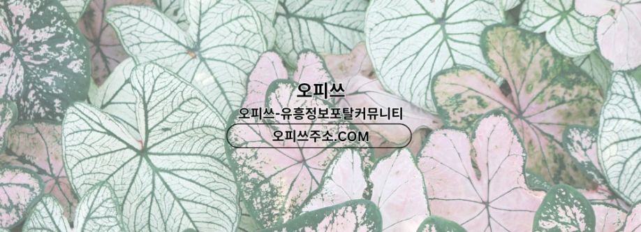 pohangmassage Cover Image