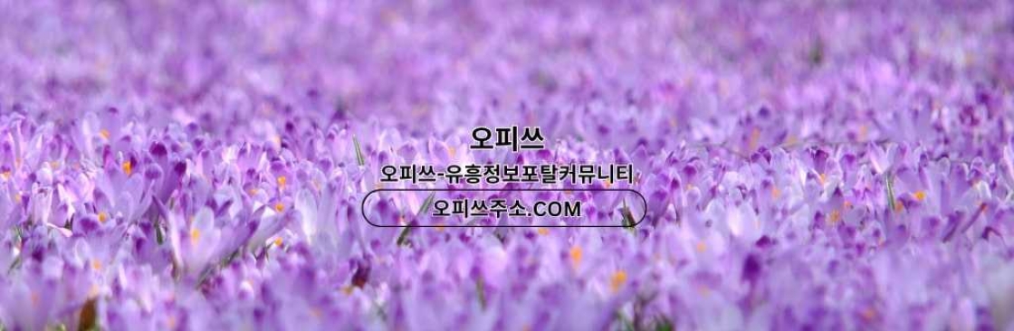 목포인샵 오피사이트NET 목포 인샵 Cover Image