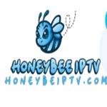 Honey beeiptv profile picture