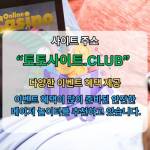 모바일홀덤 토토사이트club 모바일 홀덤 Profile Picture