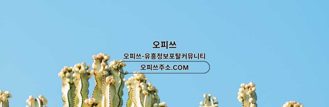 대구인샵 출장안마사이트COM 대구인샵 Cover Image