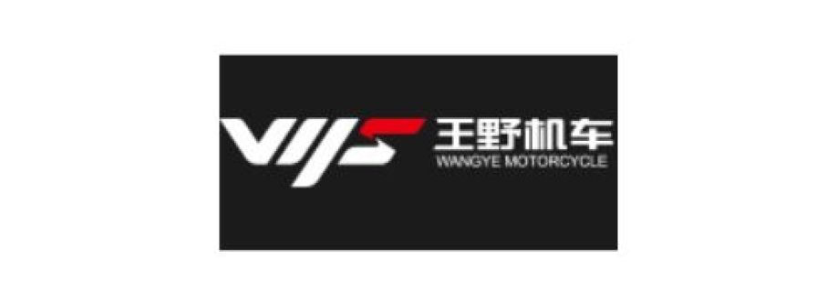 Taizhou Wangye Motorcycle LLC Cover Image