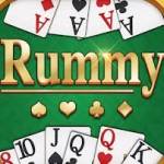 Rummy Gold Profile Picture