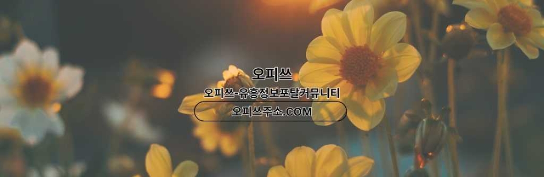 판교인샵 출장안마사이트COM 판교인샵 Cover Image