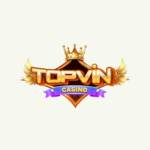 Topvin Bid