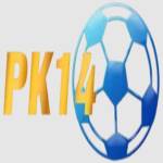 PK14 Profile Picture