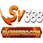 SV388PRO Profile Picture