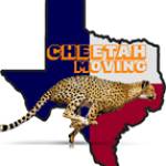 Cheetah movingdfw Profile Picture