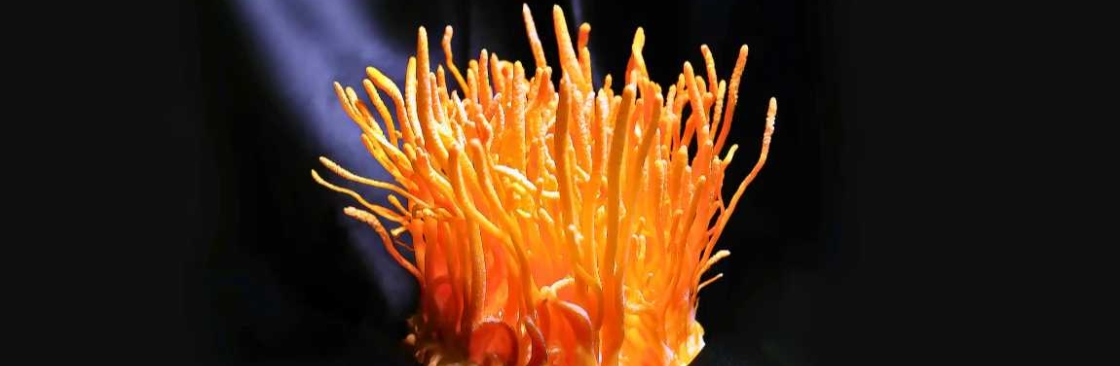 Cordyceps Fuel Cover Image