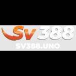 SV388 uno Profile Picture