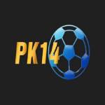 PK14 Profile Picture