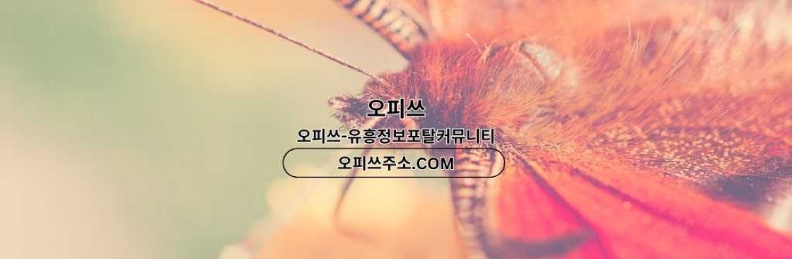 답십리출장마사지 오피사이트NET 답십리출장샵 Cover Image