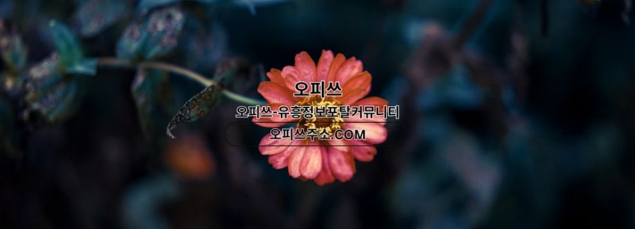 답십리오피 출장마사지안내COM 답십리OP Cover Image