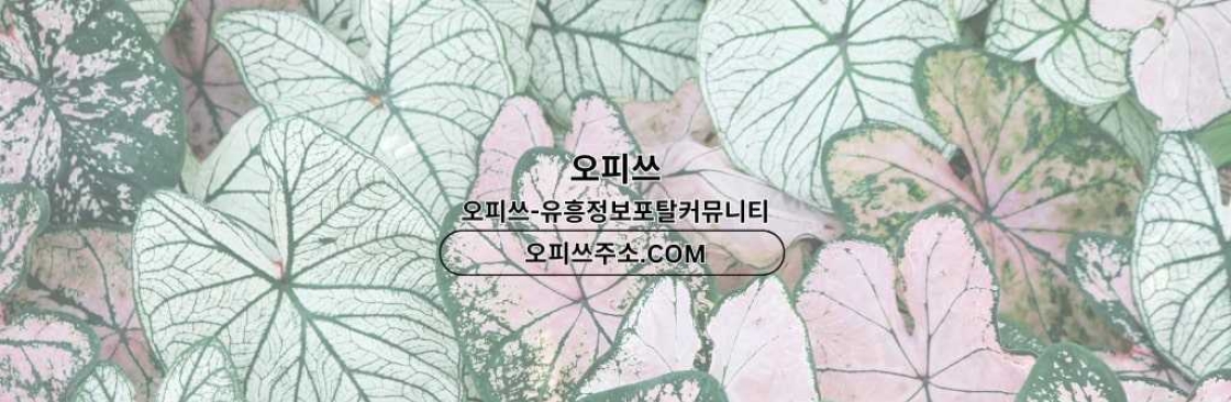 충주인샵 출장마사지안내COM 충주인샵 Cover Image