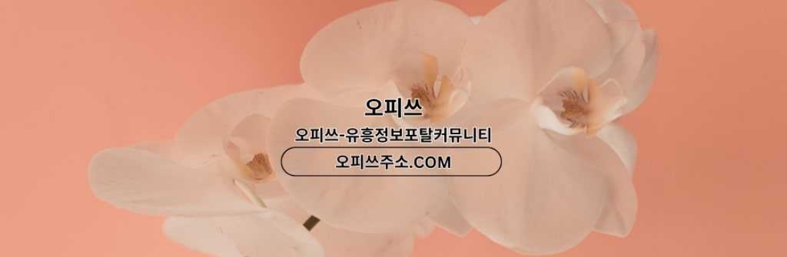 부천인샵 오피쓰주소COM 부천인샵 Cover Image