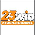 23WIN channel Profile Picture