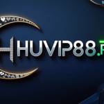 Huvip 88 Profile Picture