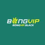 Nhacai BONGVIP