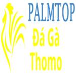 Đá Gà Trực Tiếp Thomo