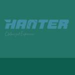 Hanter88 Online