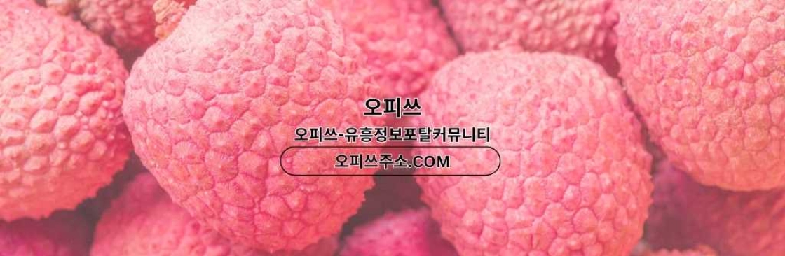 건대인샵 출장마사지안내COM 건대 인샵 Cover Image