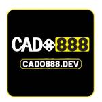 Nhà Cái Cado888