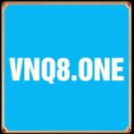 vnq8one Profile Picture